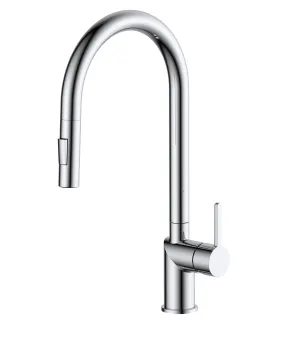 Gooseneck Pulldown Kitchen Faucet in Polished Chrome