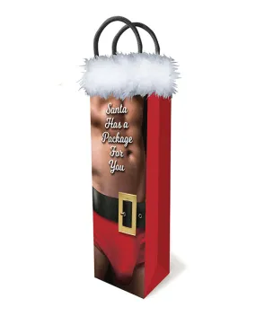 SANTA HAS A BIG PACKAGE FOR YOU GIFT BAG