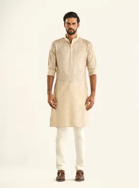 THE HAVELI KURTA