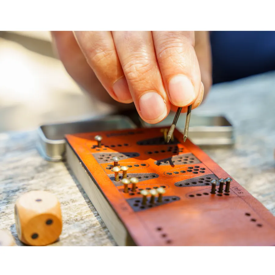 Travel Backgammon