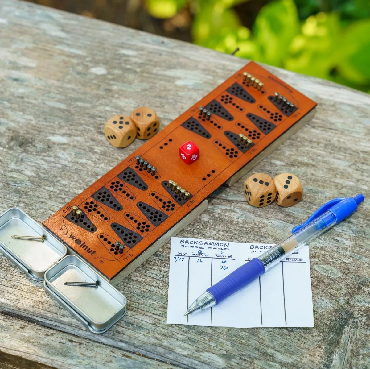 Travel Backgammon